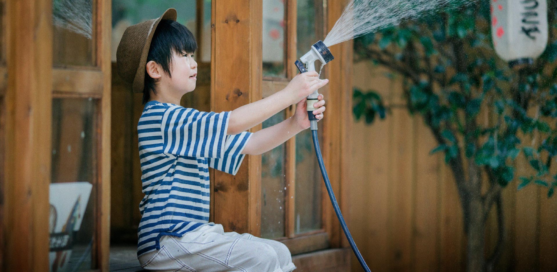 盛夏·如期而至